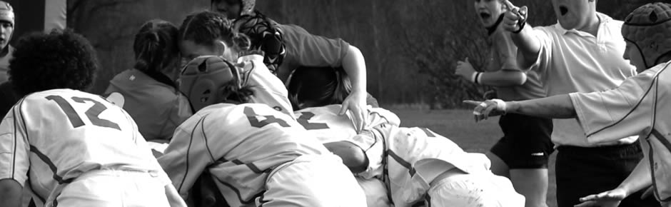 网站攻击软件工具